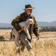 Illustration for article titled Sibling rivalry and diseased sheep drive the sentimental Sam Neill drama Rams